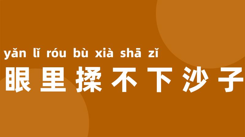 眼里揉不下沙子