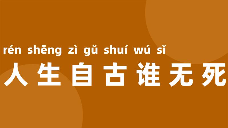 人生自古谁无死