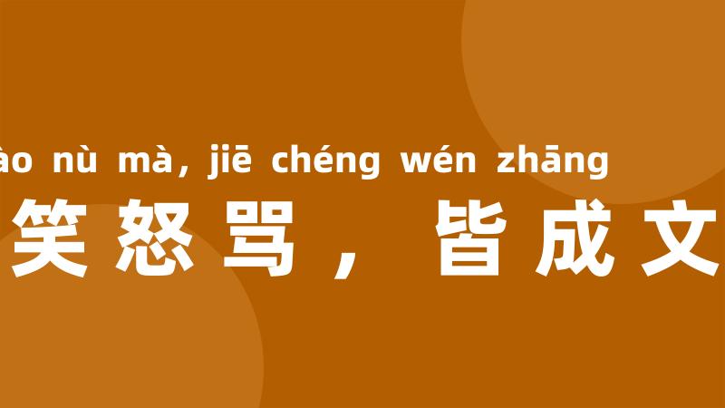 嬉笑怒骂，皆成文章