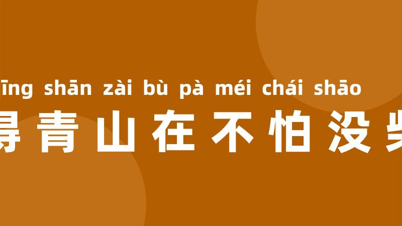 留得青山在不怕没柴烧