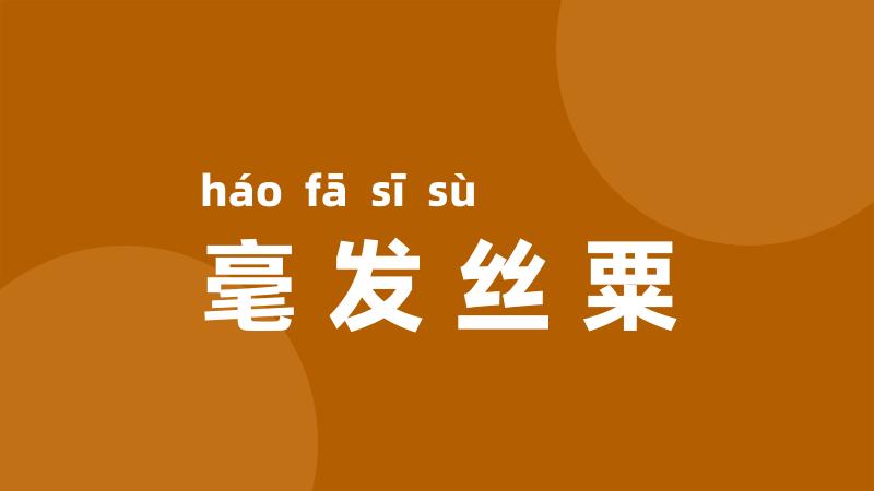 毫发丝粟