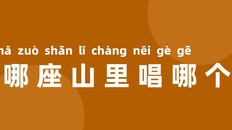 到哪座山里唱哪个歌