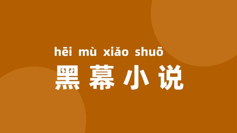 黑幕小说