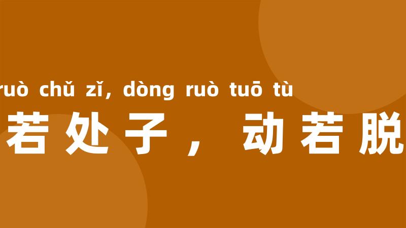 静若处子，动若脱兔