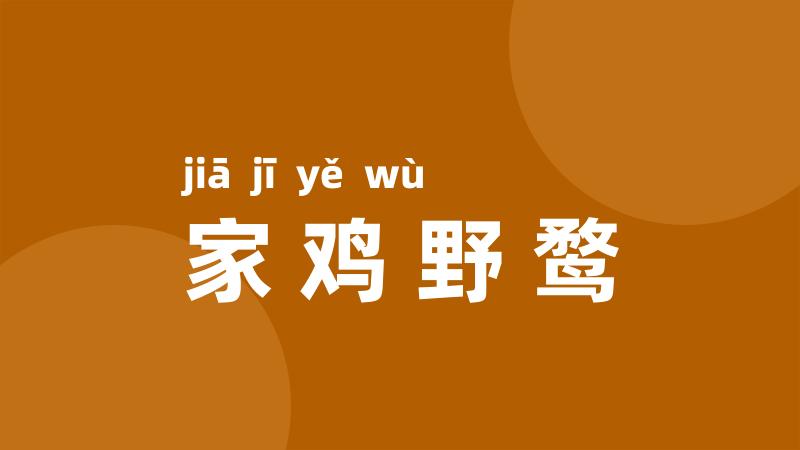 家鸡野鹜