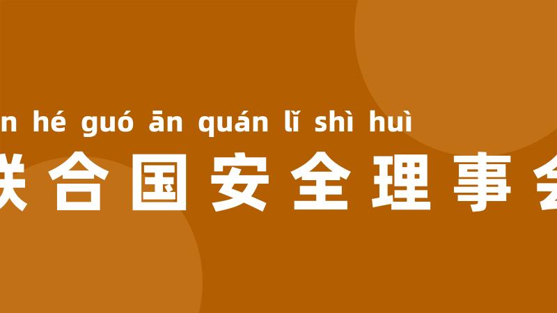 联合国安全理事会