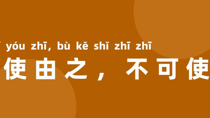 民可使由之，不可使知之