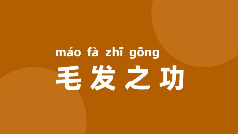 毛发之功