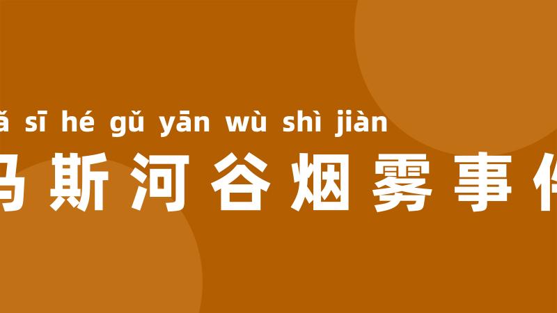 马斯河谷烟雾事件