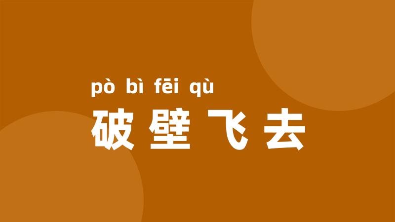 破壁飞去