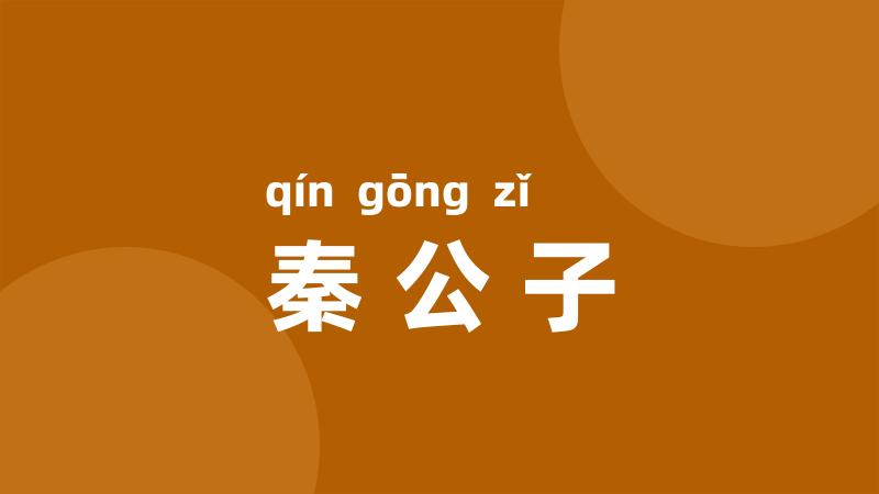 秦公子