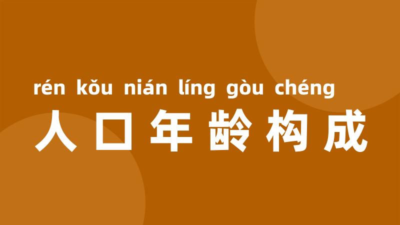 人口年龄构成