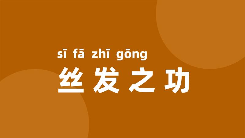 丝发之功