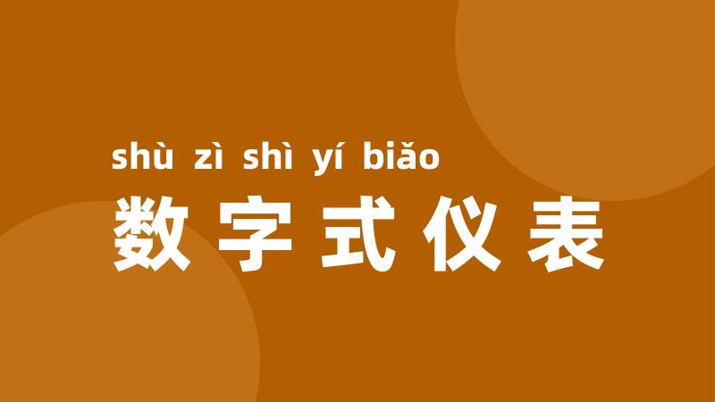 数字式仪表