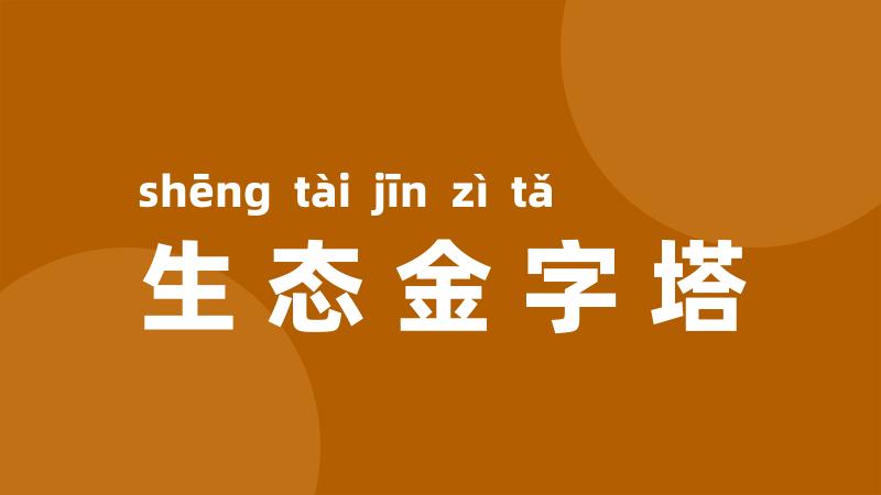 生态金字塔