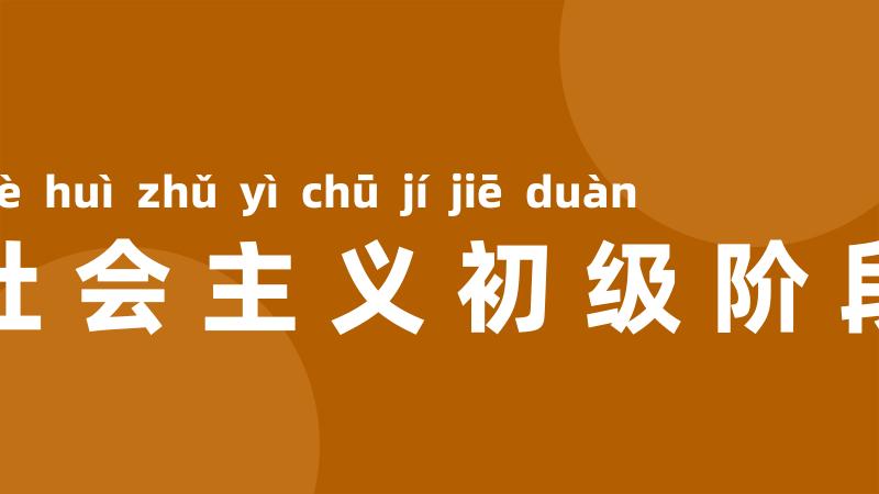 社会主义初级阶段