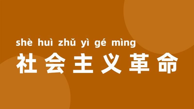 社会主义革命