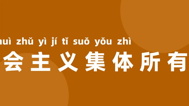 社会主义集体所有制