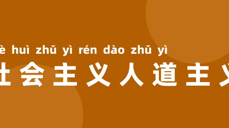 社会主义人道主义