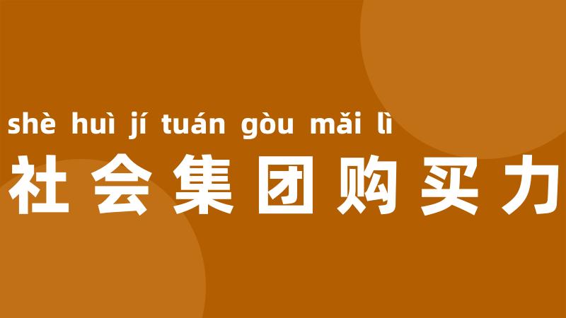 社会集团购买力