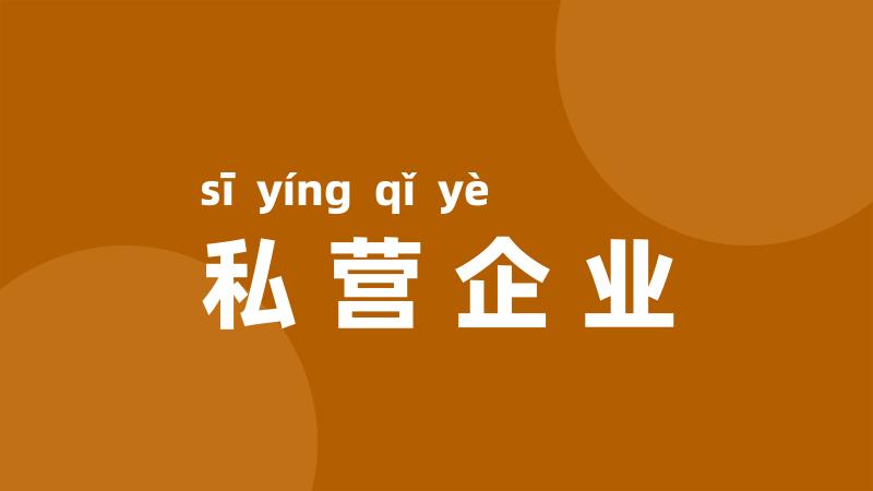 私营企业