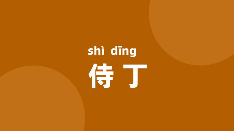 侍丁