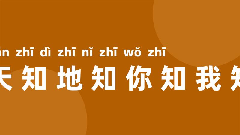 天知地知你知我知