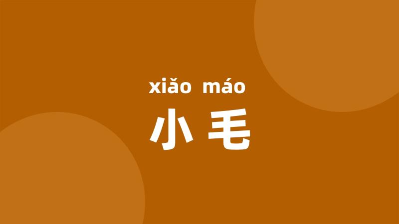 小毛