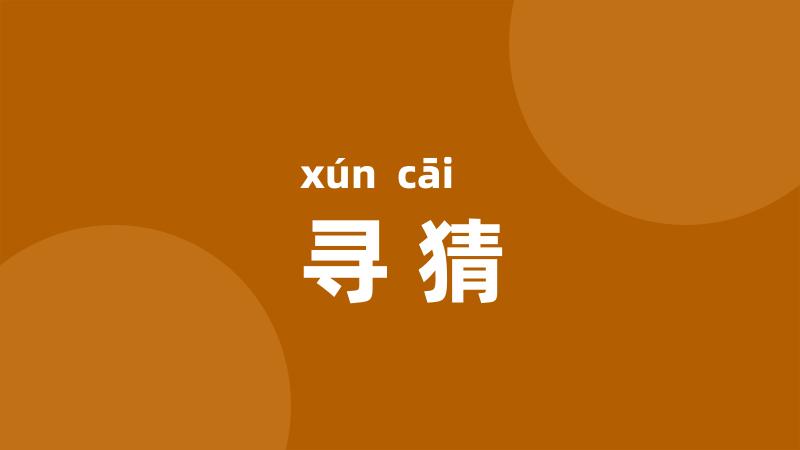 寻猜