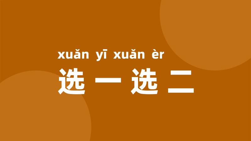 选一选二