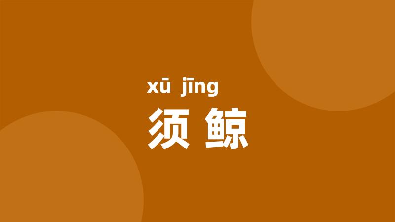 须鲸