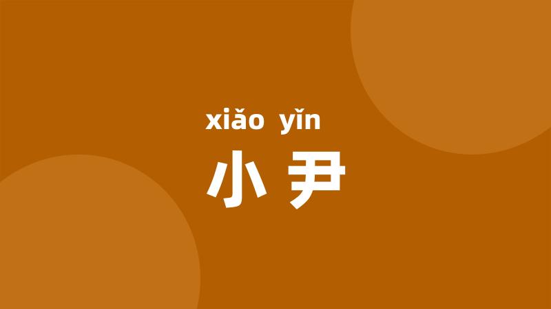 小尹