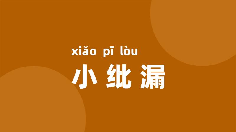 小纰漏