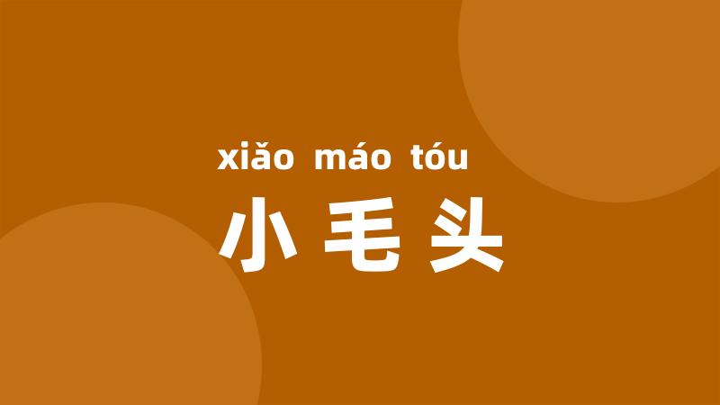 小毛头