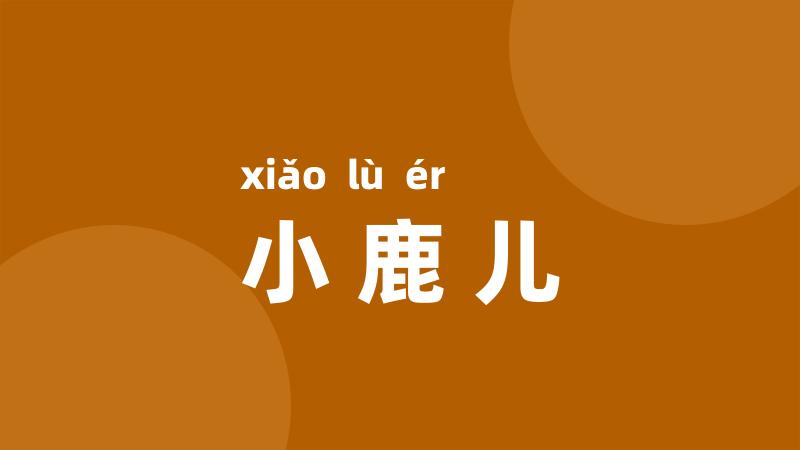 小鹿儿