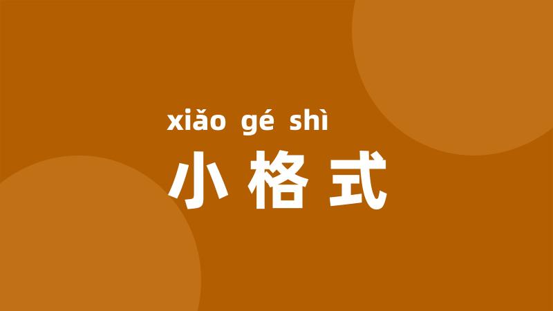 小格式