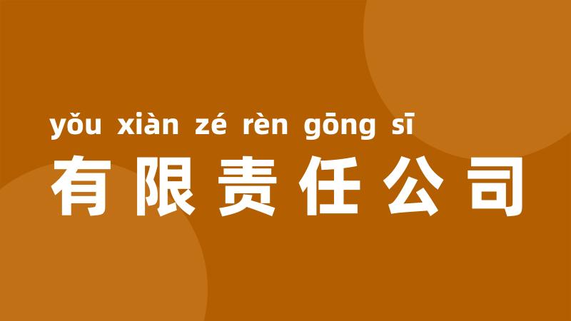 有限责任公司