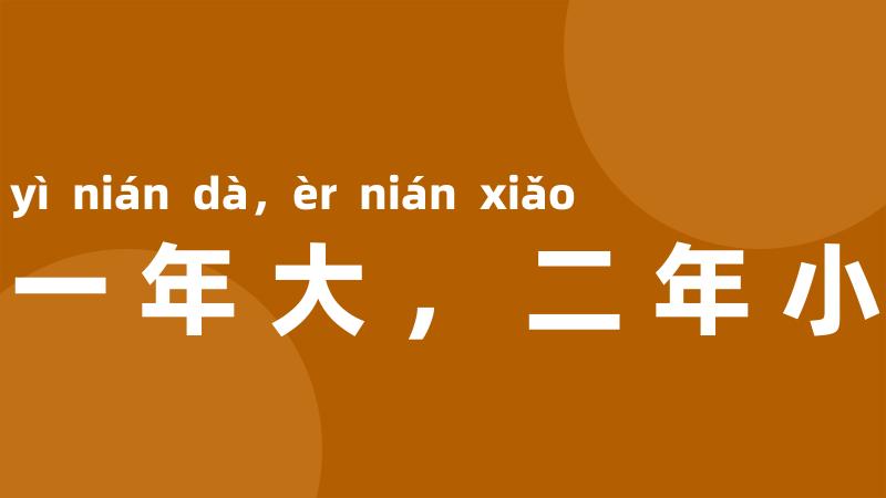 一年大，二年小