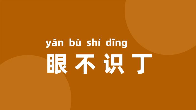 眼不识丁