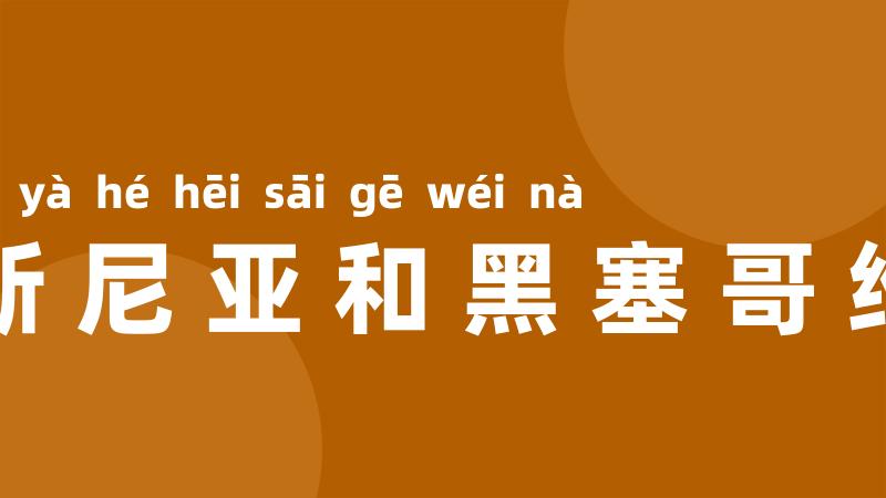 波斯尼亚和黑塞哥维那