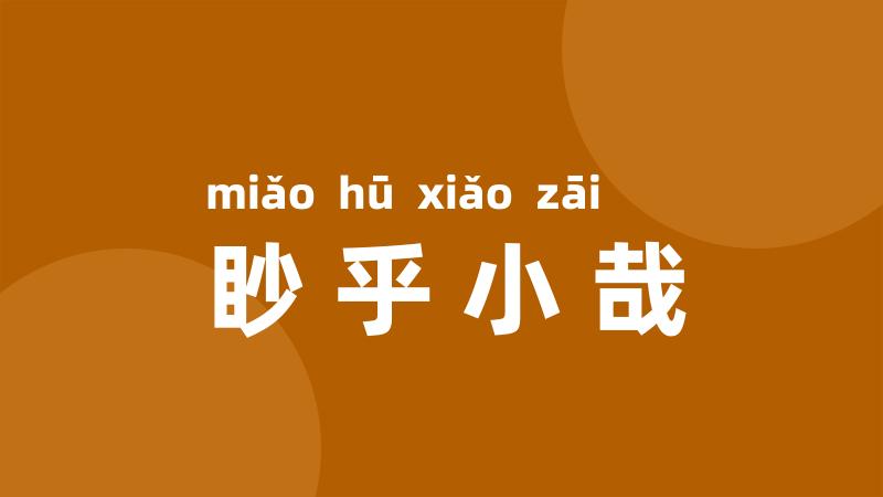 眇乎小哉