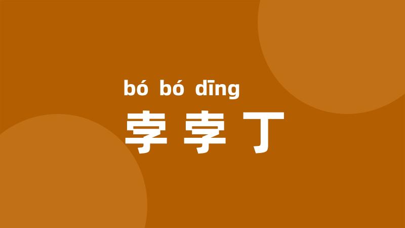 孛孛丁