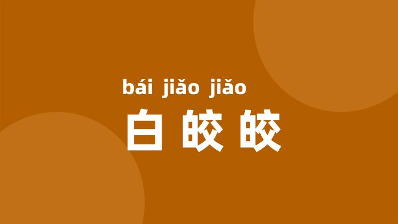 白皎皎