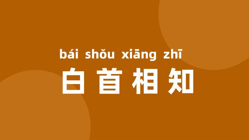 白首相知