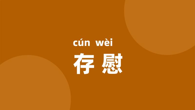 存慰