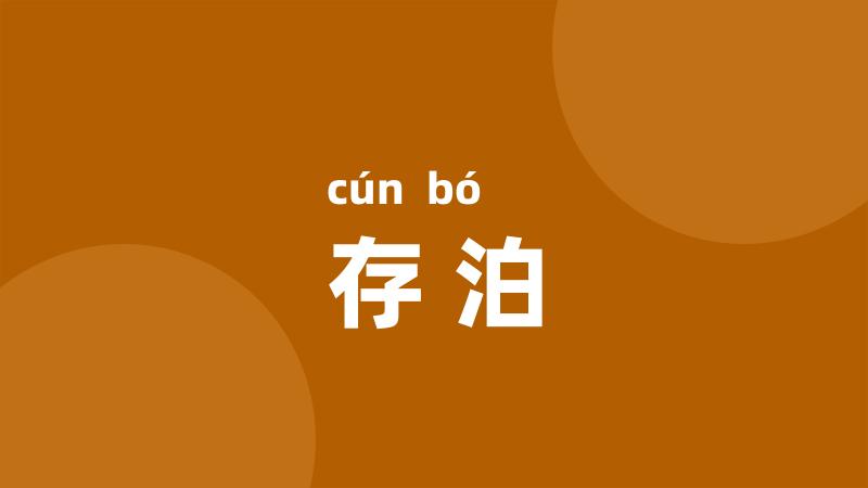 存泊