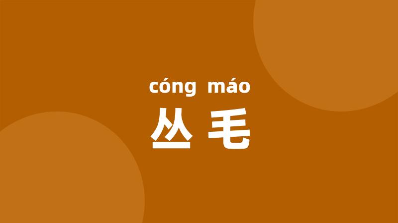 丛毛