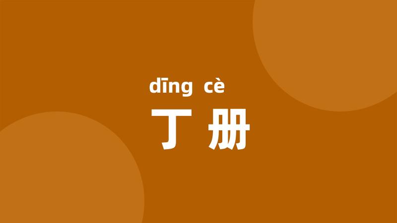 丁册