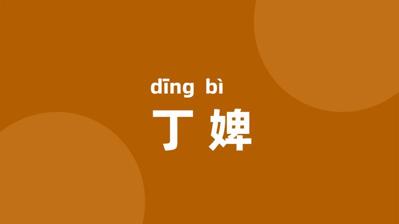 丁婢