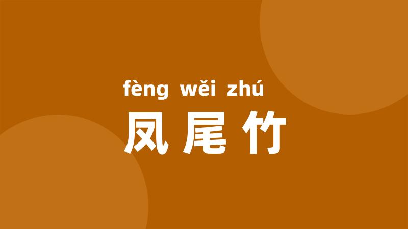 凤尾竹